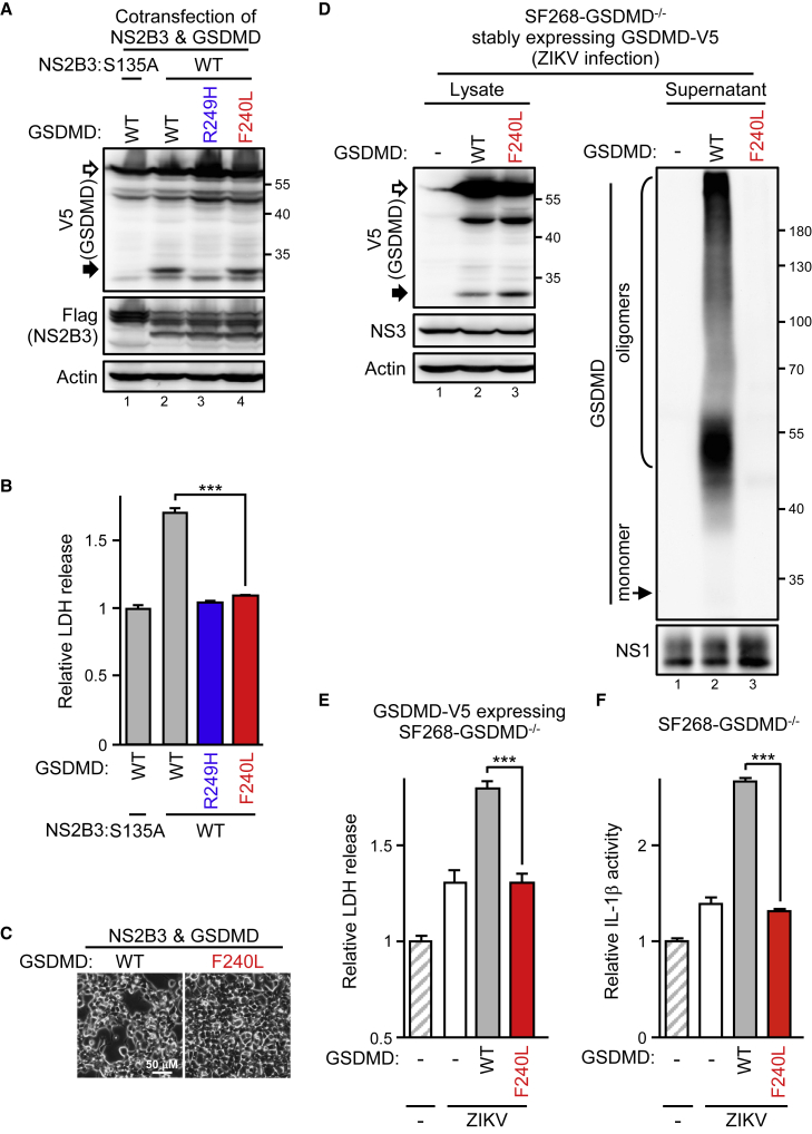 Figure 6