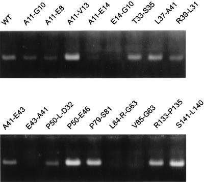 FIG. 5