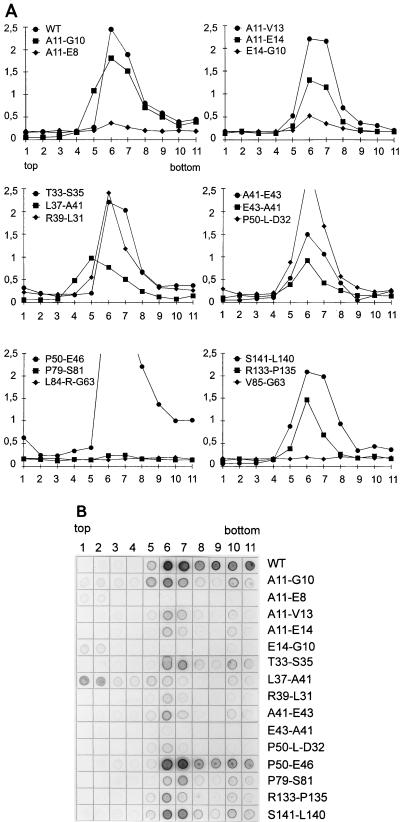 FIG. 6