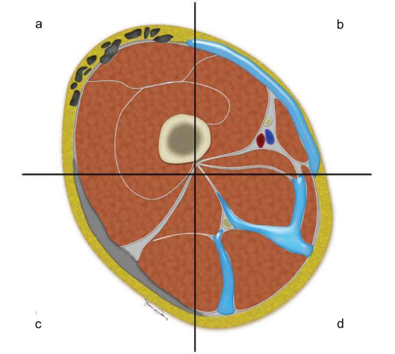 Figure 10.