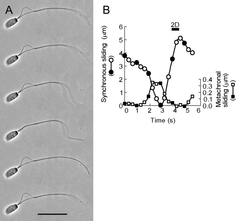 Fig 5