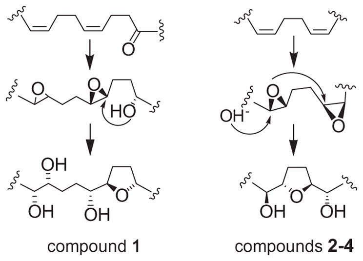 Scheme 2