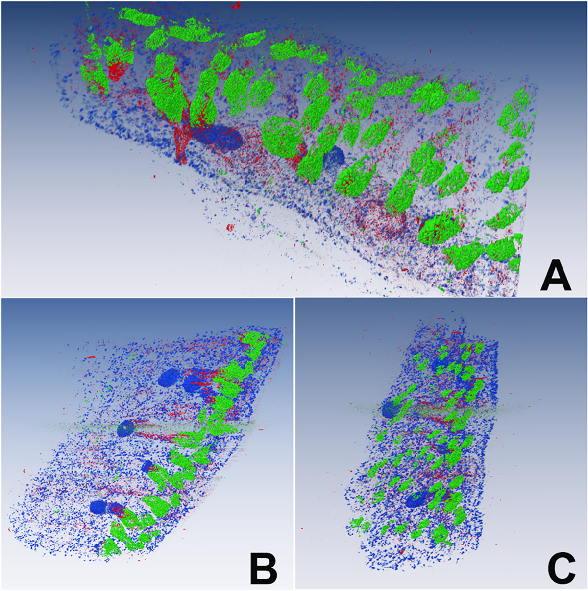 Fig. 3.