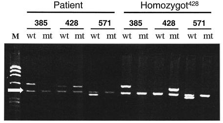 FIG. 6.