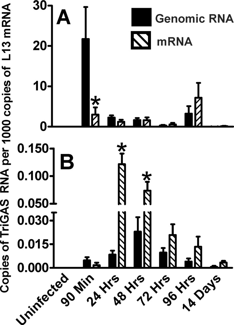 Fig 5