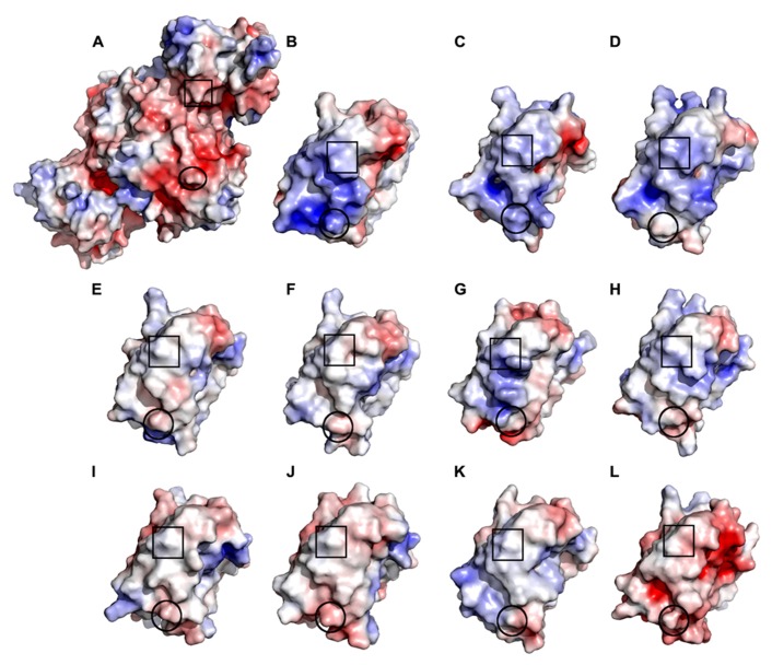 FIGURE 11