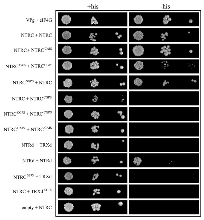 FIGURE 10