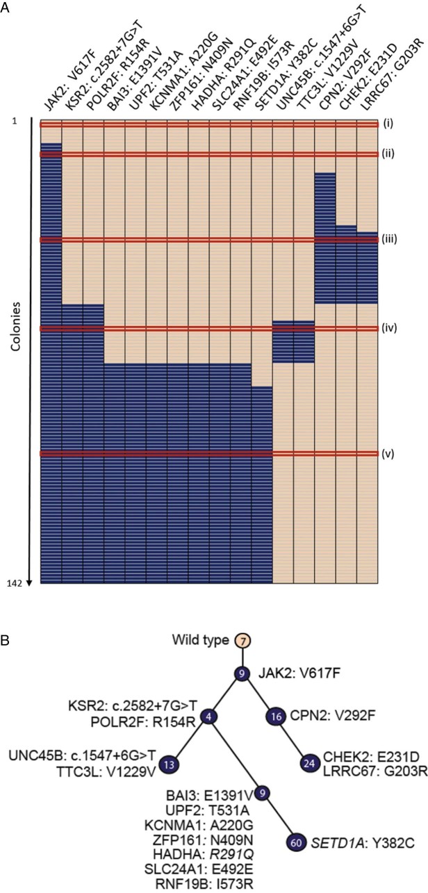 Figure 3