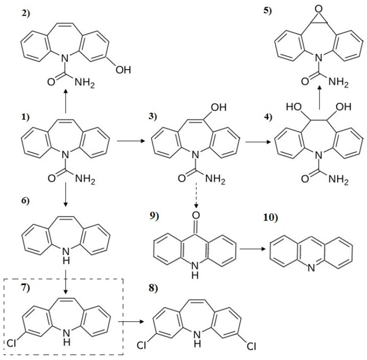 Figure 10