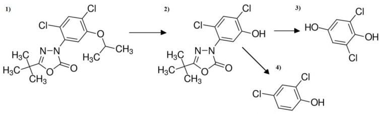 Figure 12