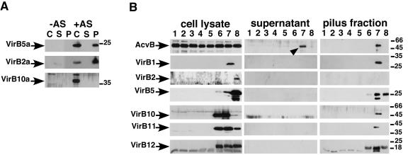 FIG. 6.