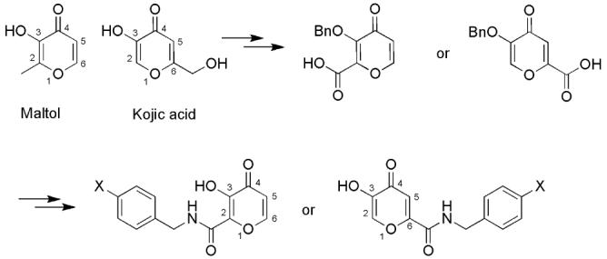 Scheme 1