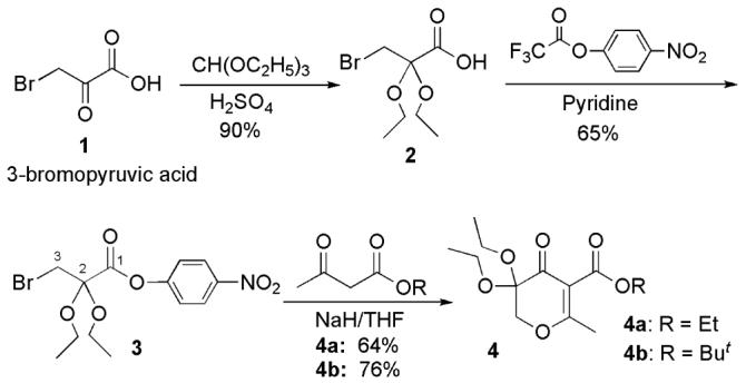 Scheme 2