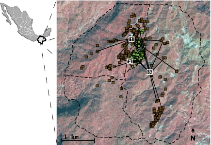 Fig. 2.