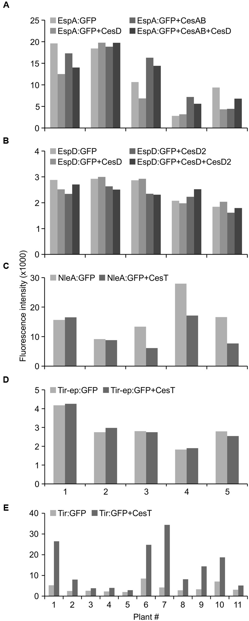 FIGURE 4