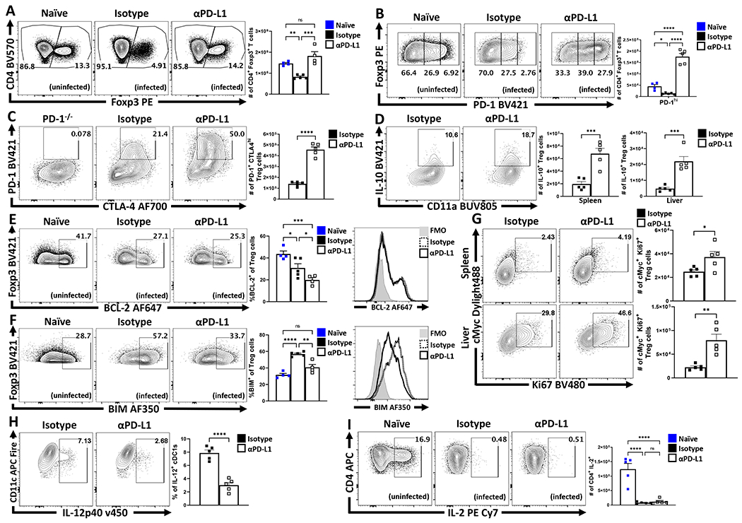 Figure 5: