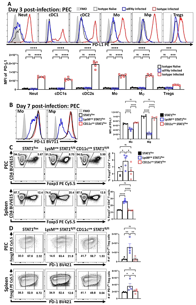 Figure 4: