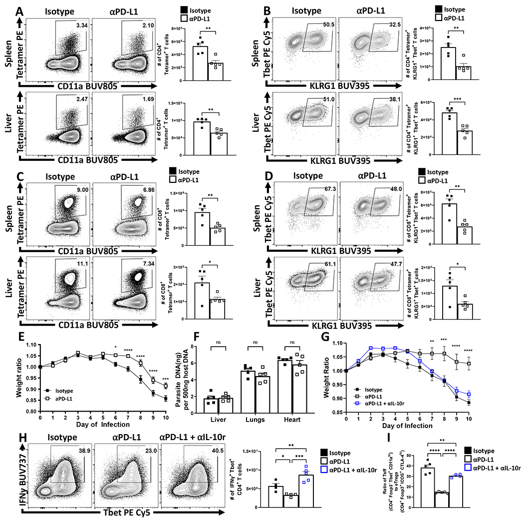 Figure 6: