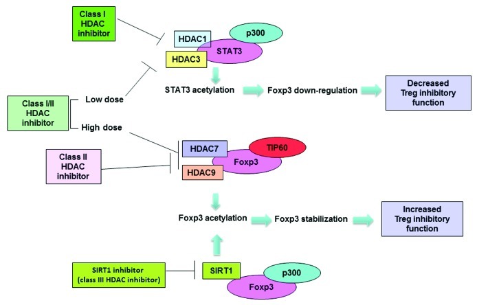 graphic file with name onci-1-948-g1.jpg