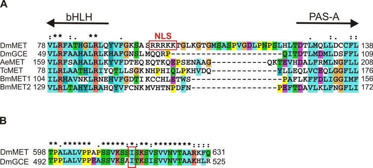 Fig 7