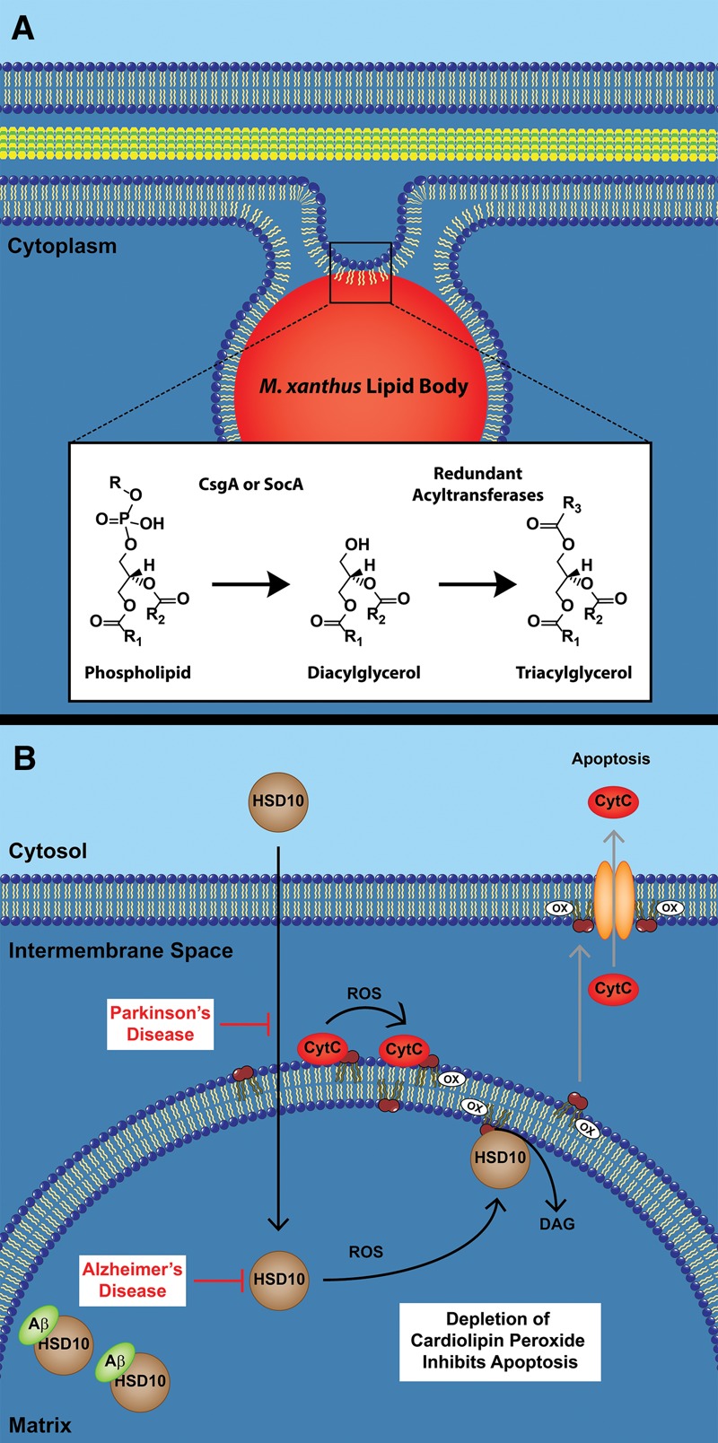 Figure 6.