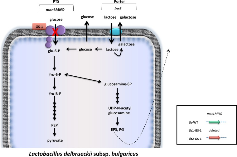 FIG 4