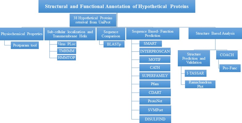 Fig. 1