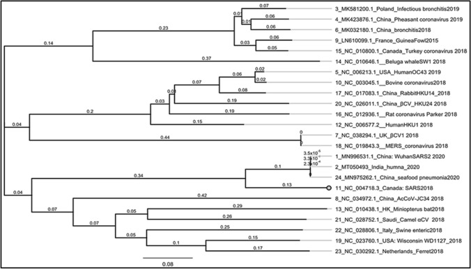 Fig. 12