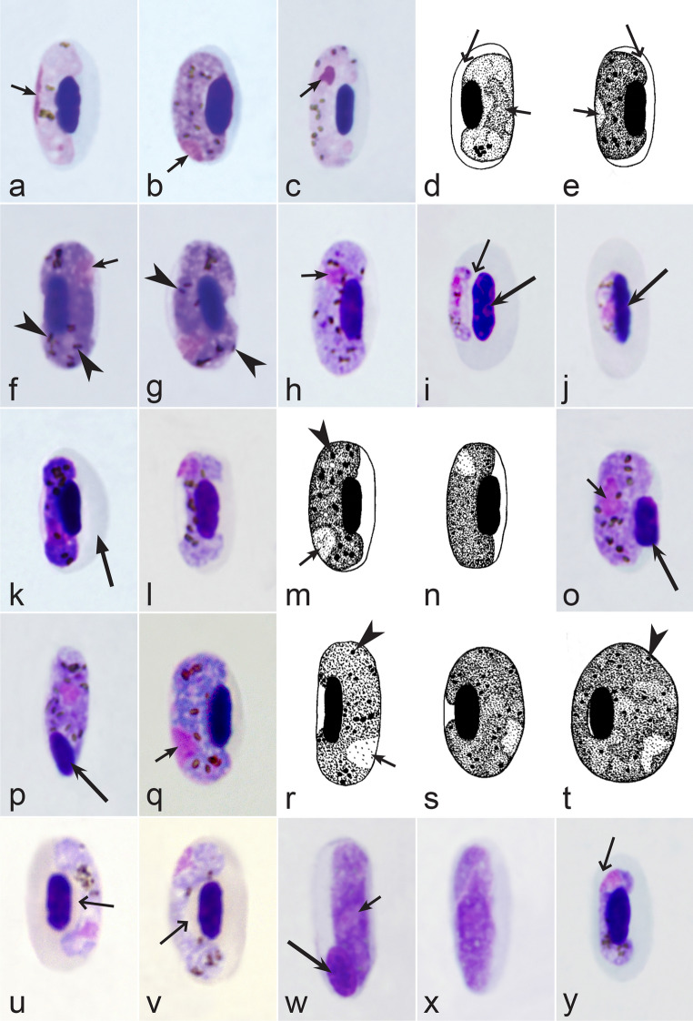 Fig. 35