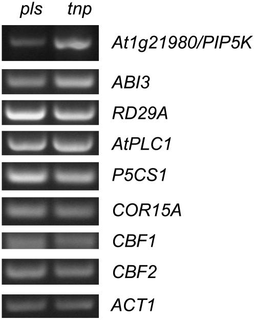 Figure 10.