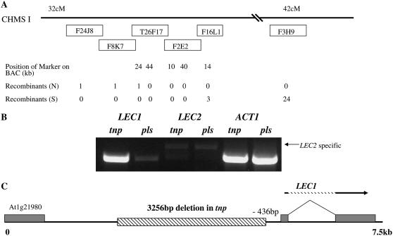 Figure 5.