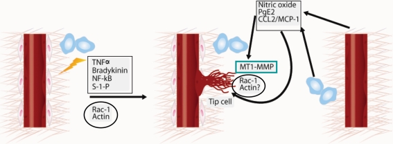 Figure 3