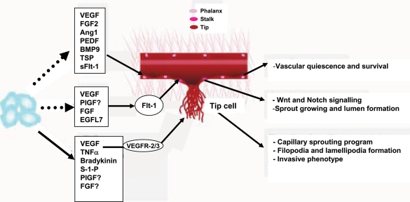 Figure 2