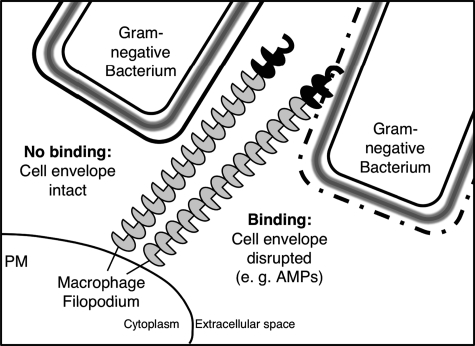 FIGURE 8.