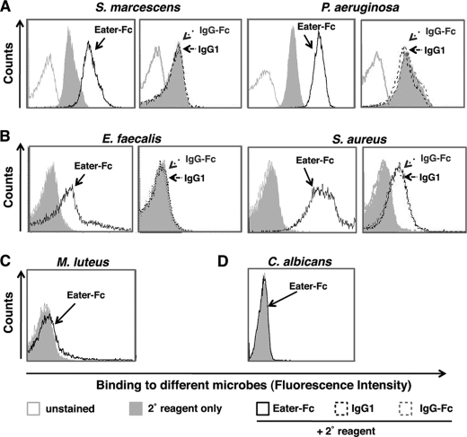 FIGURE 2.