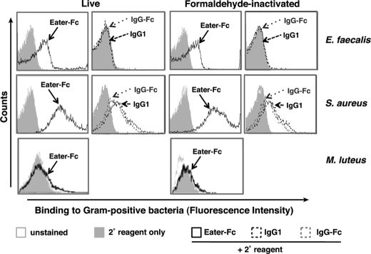 FIGURE 3.