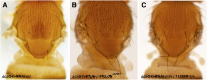 Figure 7 