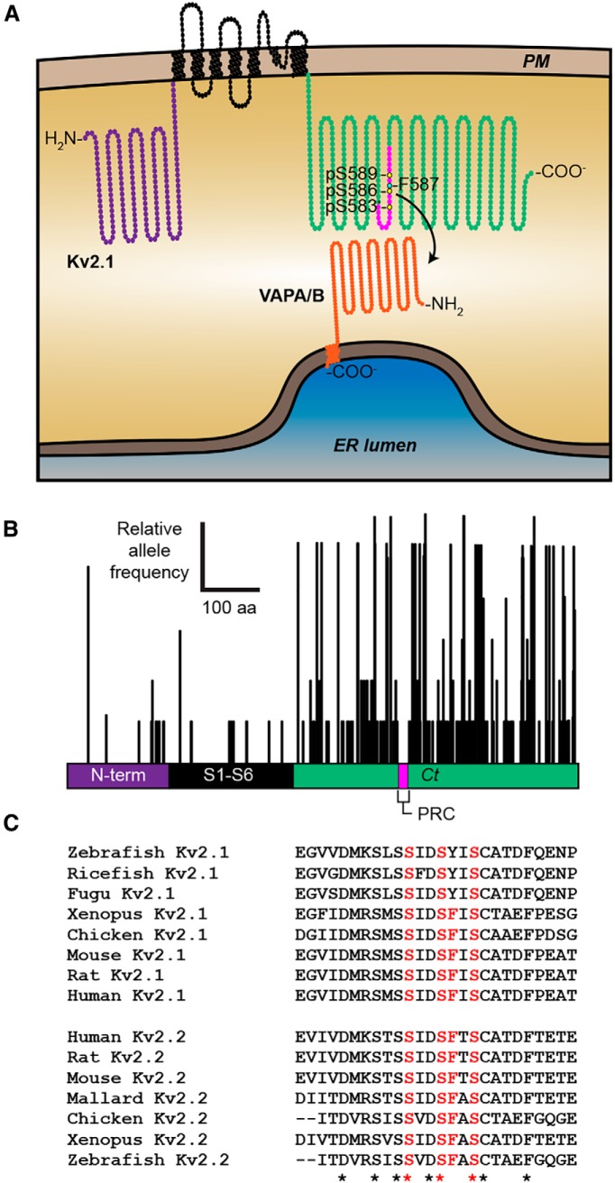 Figure 12.