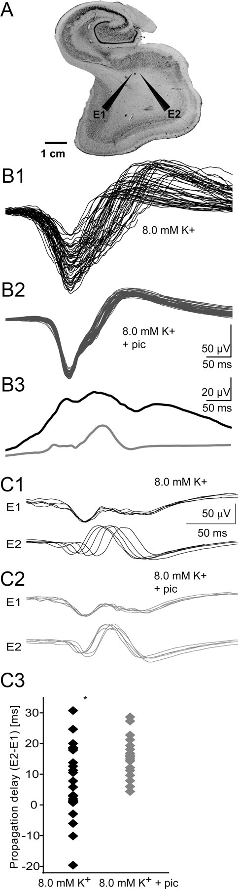 Figure 10.