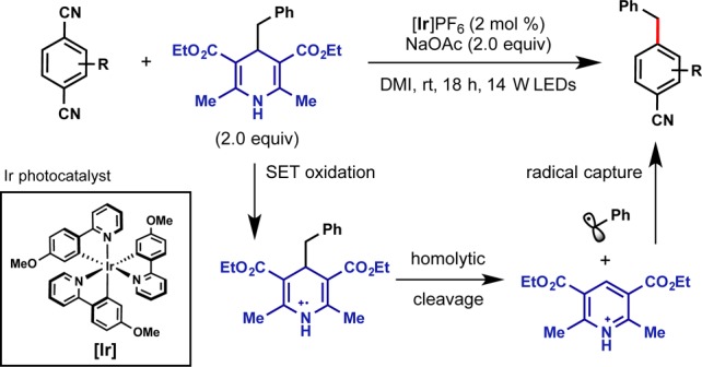 Scheme 17