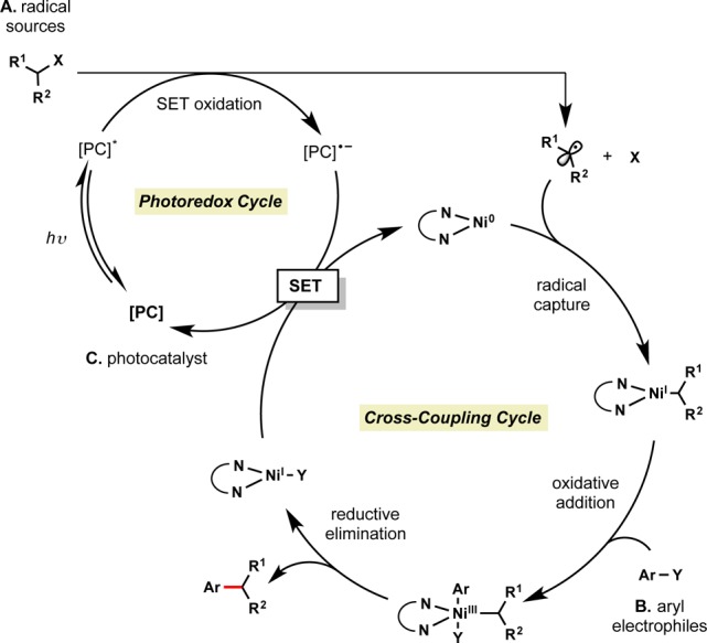 Scheme 2