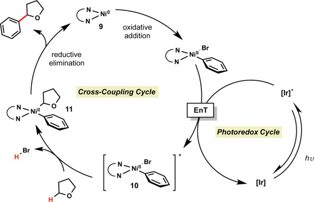 Scheme 25