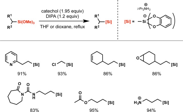 Scheme 4