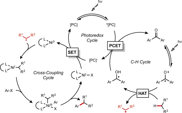 Scheme 20