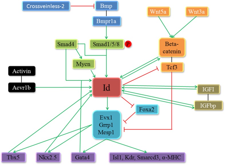 Fig. 3