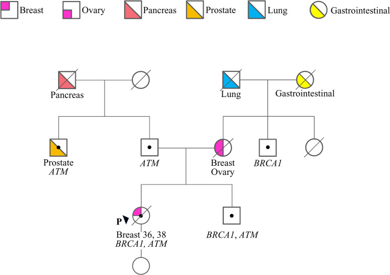 Figure 1