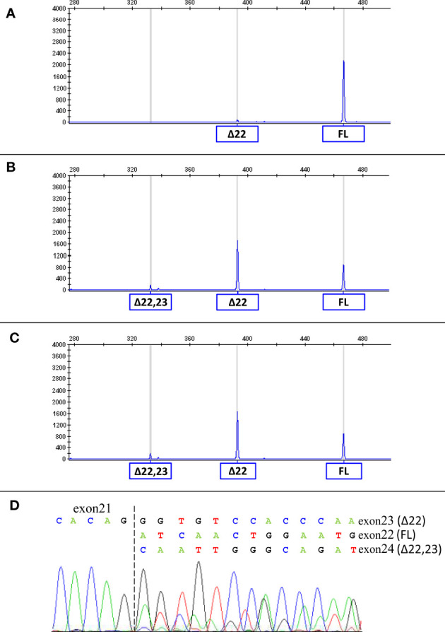 Figure 2