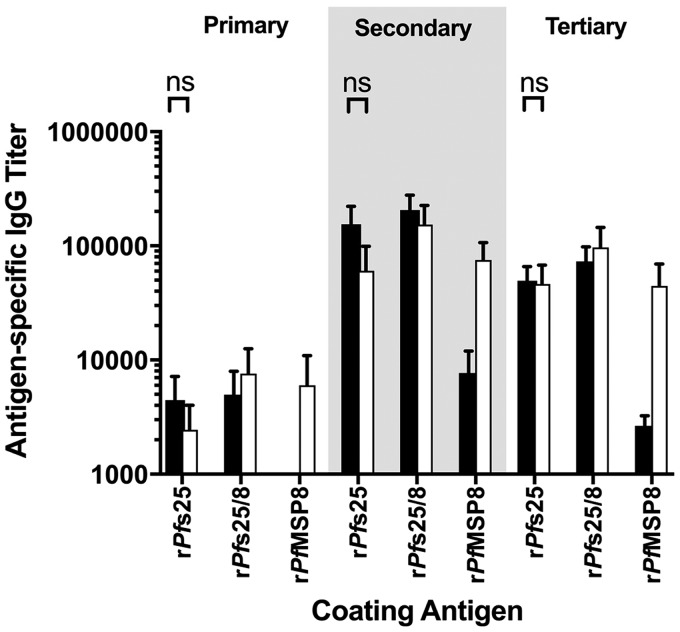 FIG 7