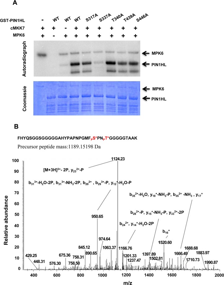 Fig 6