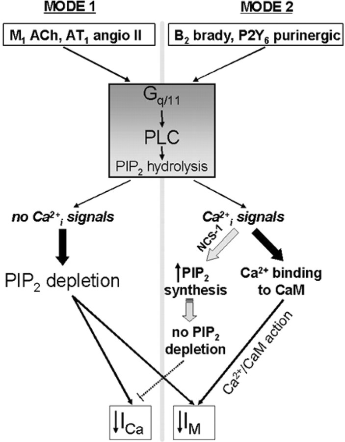 Figure 9.